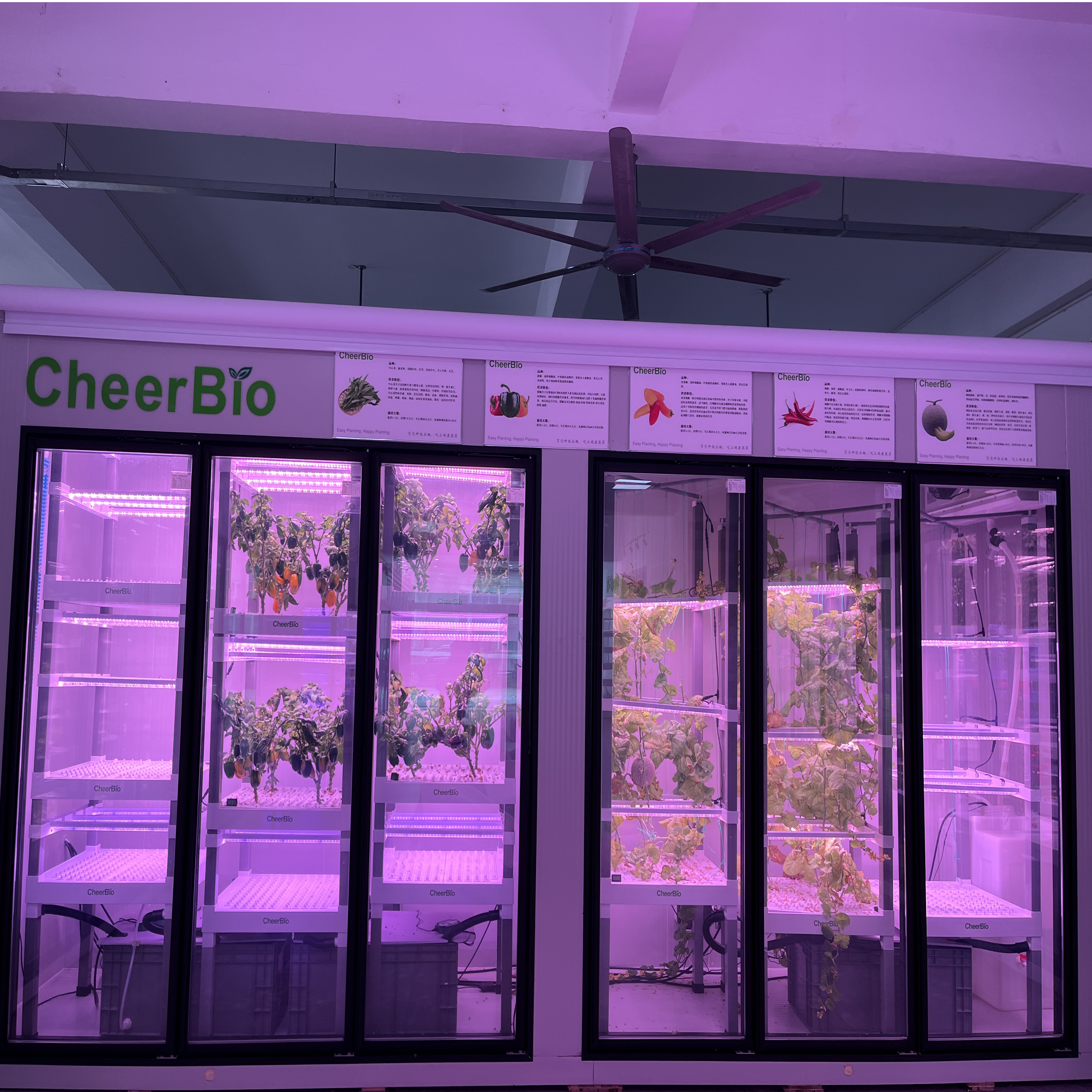 We have a new product, welcome to inquire. - Skyplant Greenhouse