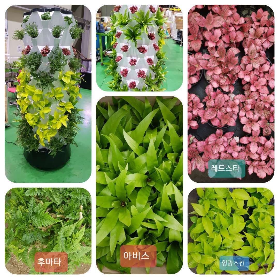 hydroponic system (22)