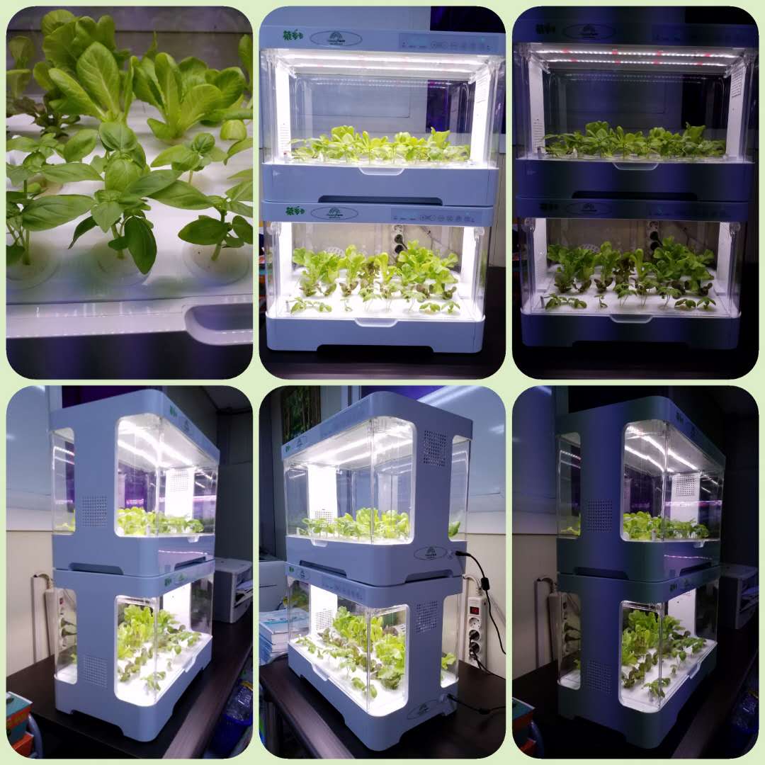 hydroponic system22