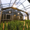 Darkened Attached Light-controlled Blackout Greenhouse