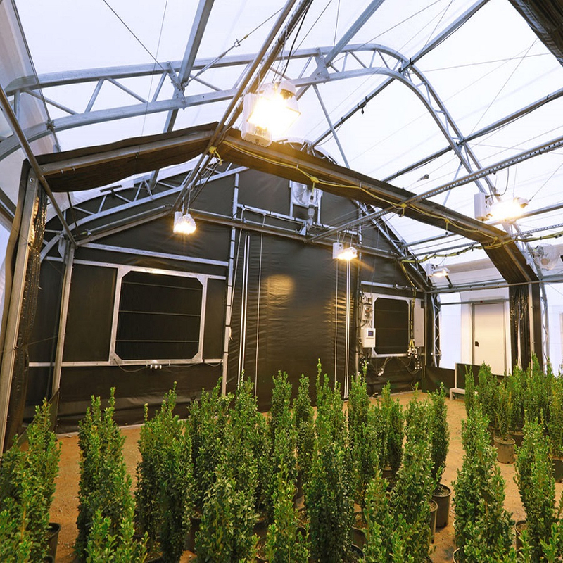 Darkened Attached Light-controlled Blackout Greenhouse