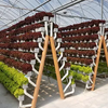 Commercial High-flow Sustainable Hydroponic Pipes