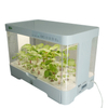 Smart Nutrient-rich Indoor Vertical hydroponics