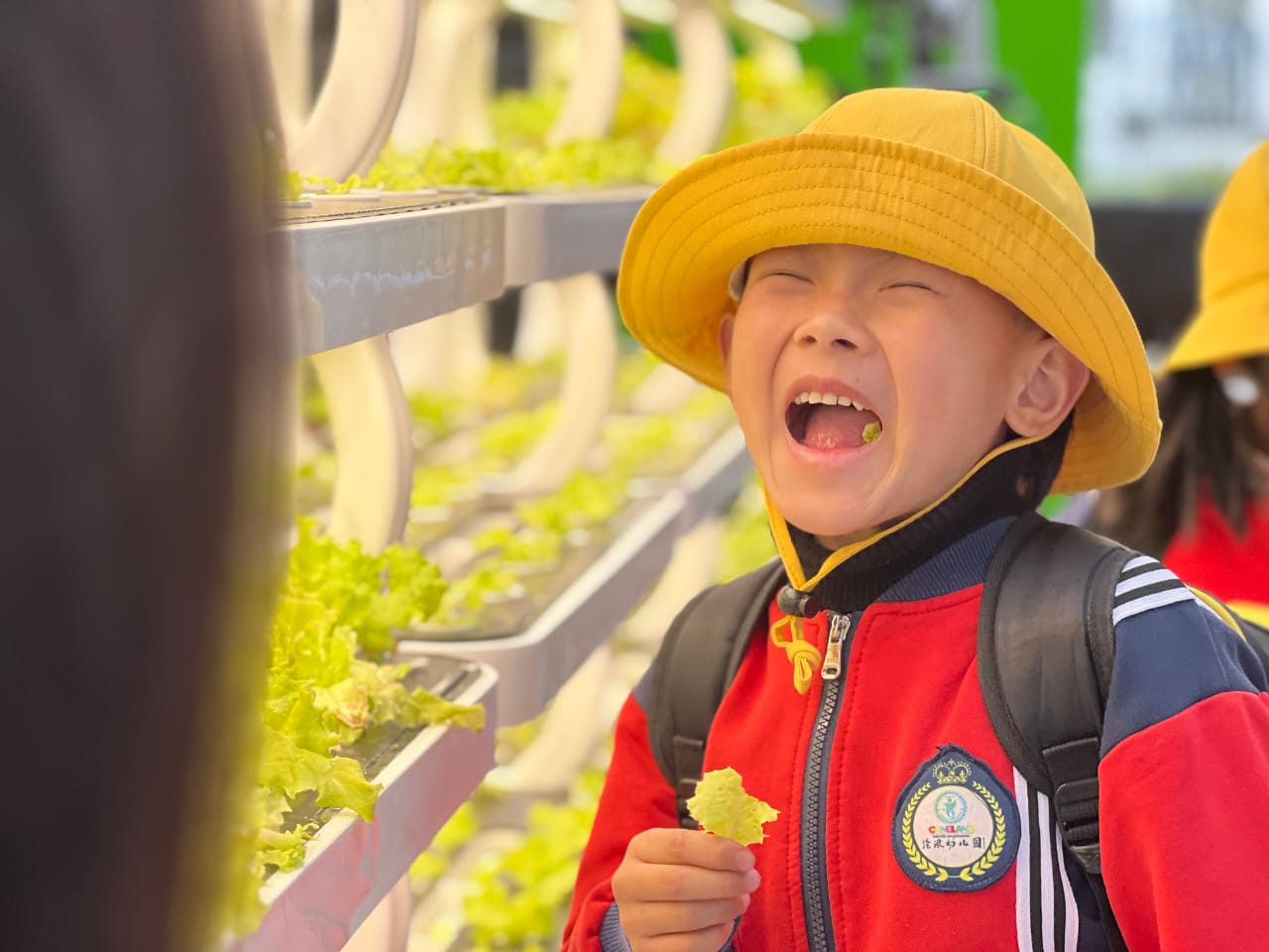 indoor hydroponic system with led 