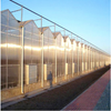 Commercial Climate-proof Traditional PC Board Greenhouse