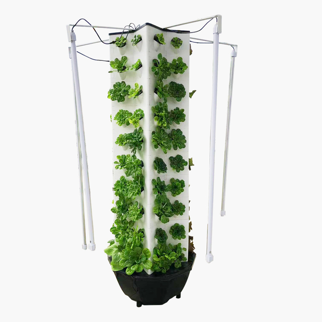 Automatic Home Garden Aquaponics Hydroponic Vertical Hydroponic System for Grow Vegetables