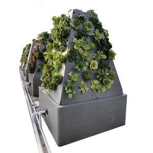 Energy-efficient, Automatic, Water-saving, 80-hole Aeroponic Grower Size Customizable Indoors