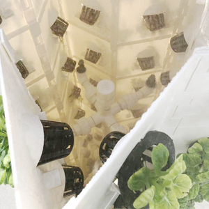 Indoor Aeroponic Tower Vertical Hydroponic system for growing vegetables 