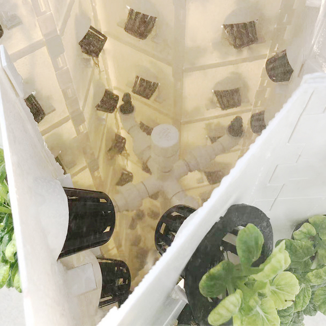 Indoor Aeroponic Tower Vertical Hydroponic system for growing vegetables 