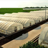 UV-resistant Curved Agricultural tunnel greenhouse