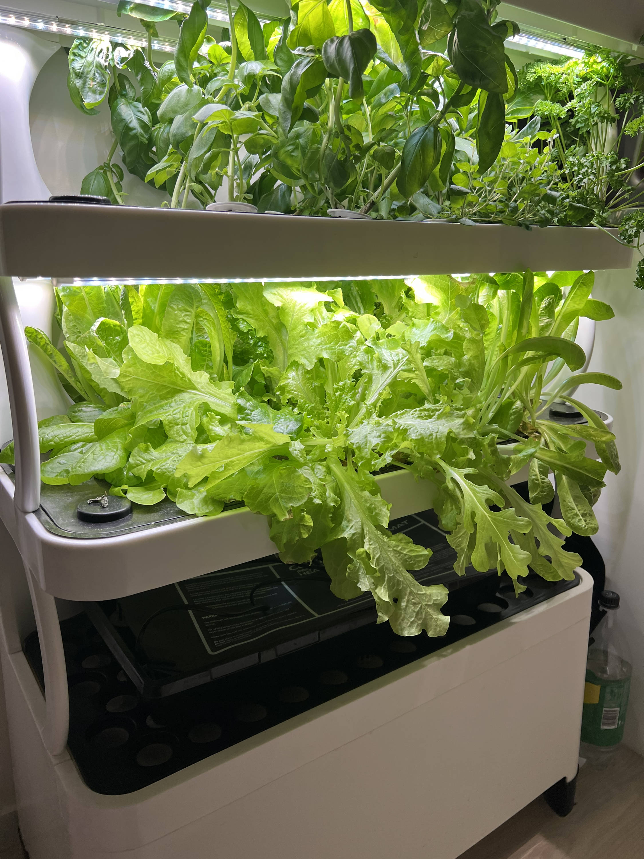 Vertical hydroponics