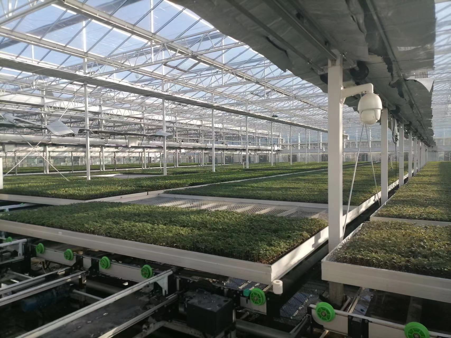 Sliding greenhouse rolling bench