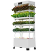 vertical cultivation growing herbs indoors hydroponic system agriculture tower planter for lettuce