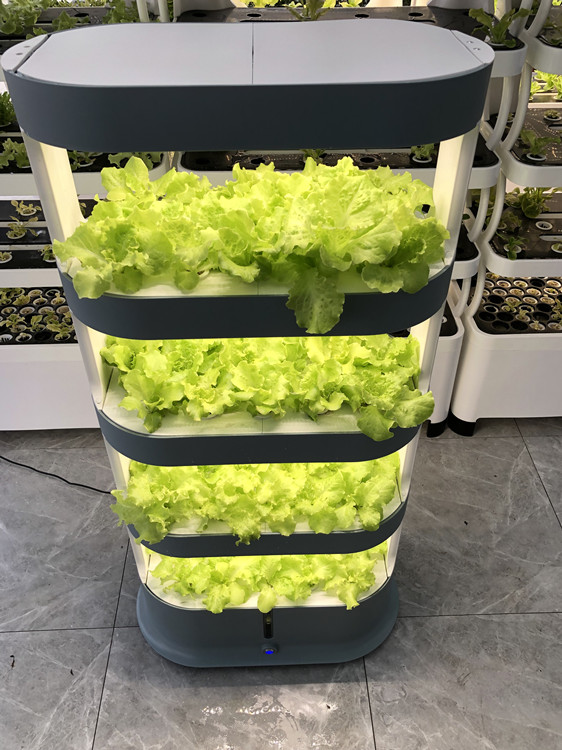 vertical hydroponic