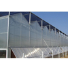 Commercial Climate-proof Traditional PC Board Greenhouse