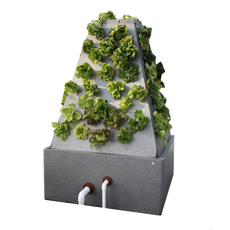 Skyplant Hydroponics System Plant LED Hydroponic Smart Plant Grower