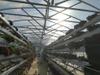 Commercial Easy-to-clean Hydroponic pipes system