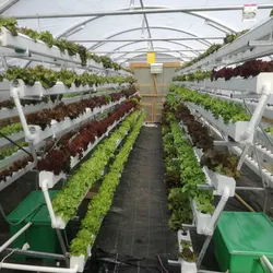 Commercial High-flow Sustainable Hydroponic Pipes