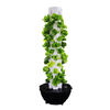 Space-saving Soil-less Tower Vertical Hydroponics