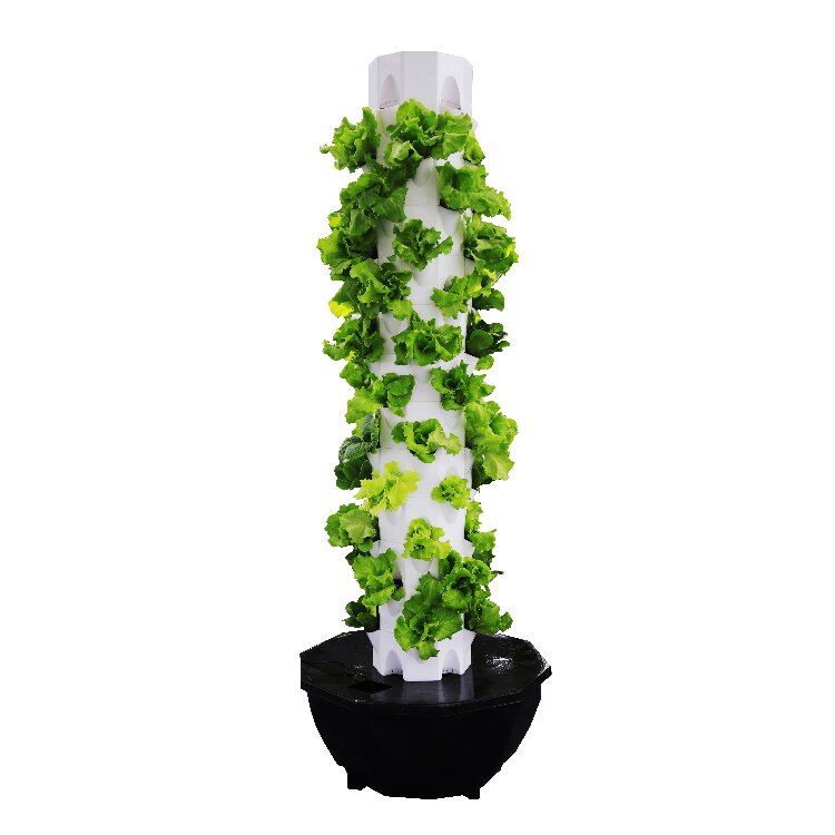 Space-saving Soil-less Tower Vertical Hydroponics