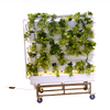 Smart Energy-saving Minimalist Version of Double-sided Hydroponics