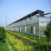 Commercial Climate-proof Traditional PC Board Greenhouse