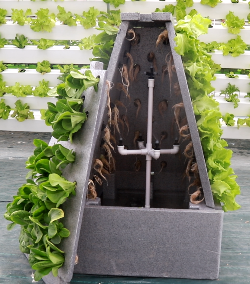 Hydroponic Smart Plant Grower