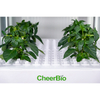 Tiered Vertical hydroponics Integrated Smart