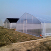 UV-resistant Curved Agricultural tunnel greenhouse