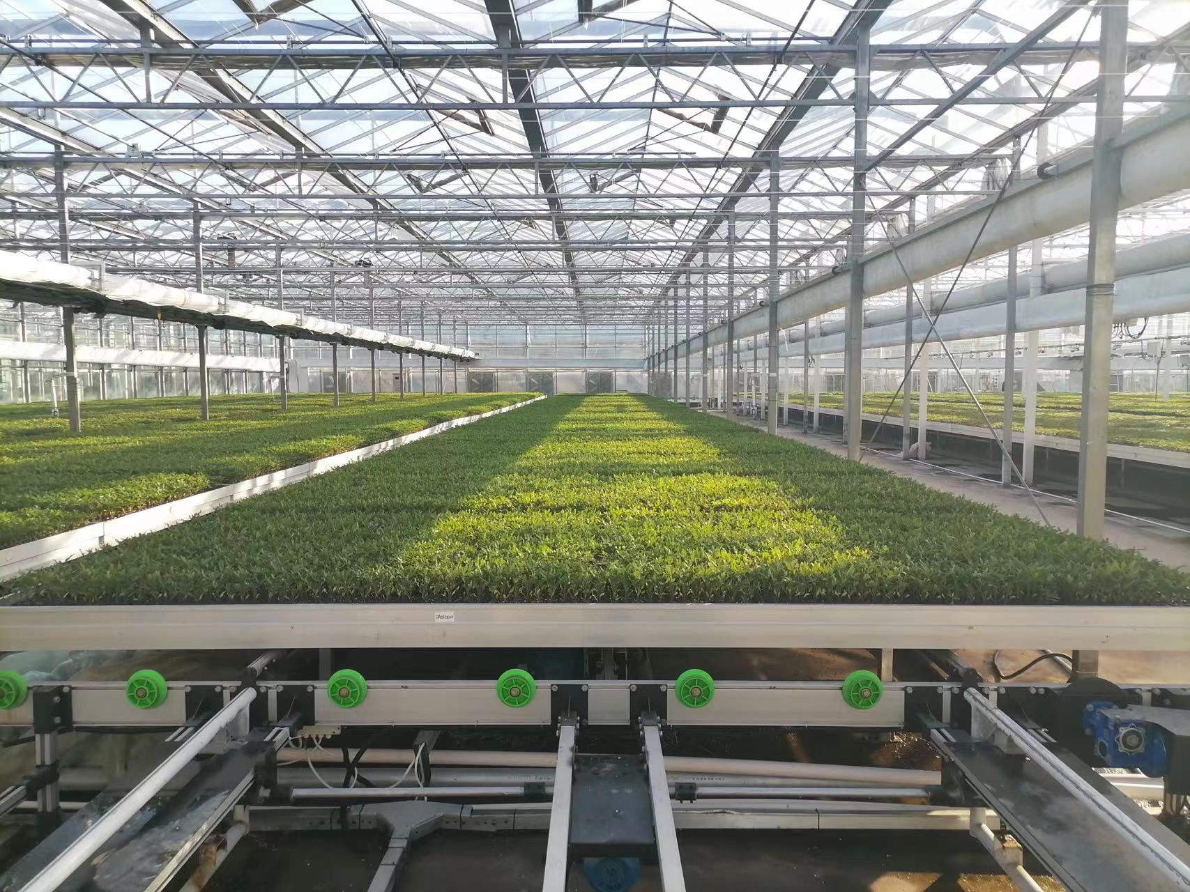 Sliding greenhouse rolling bench