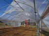 Ethylene-vinyl Acetate Greenhouse Film Reinforced UV-resistant