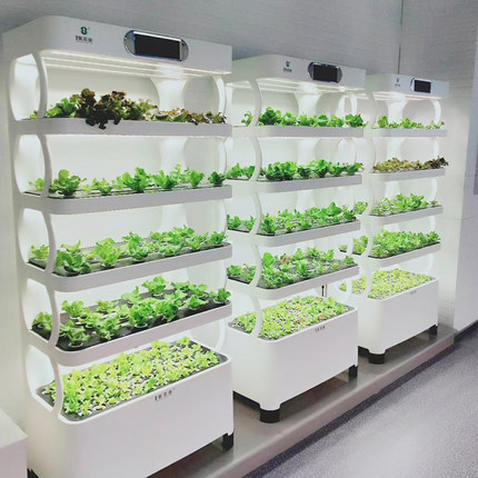 New arrival indoor smart garden hydroponic intelligent vertical farming home hydroponic growing systems