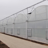 Strong UV-resistant Curved Multi-Span Greenhouse