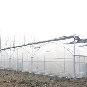 Strong UV-resistant Curved Multi-Span Greenhouse