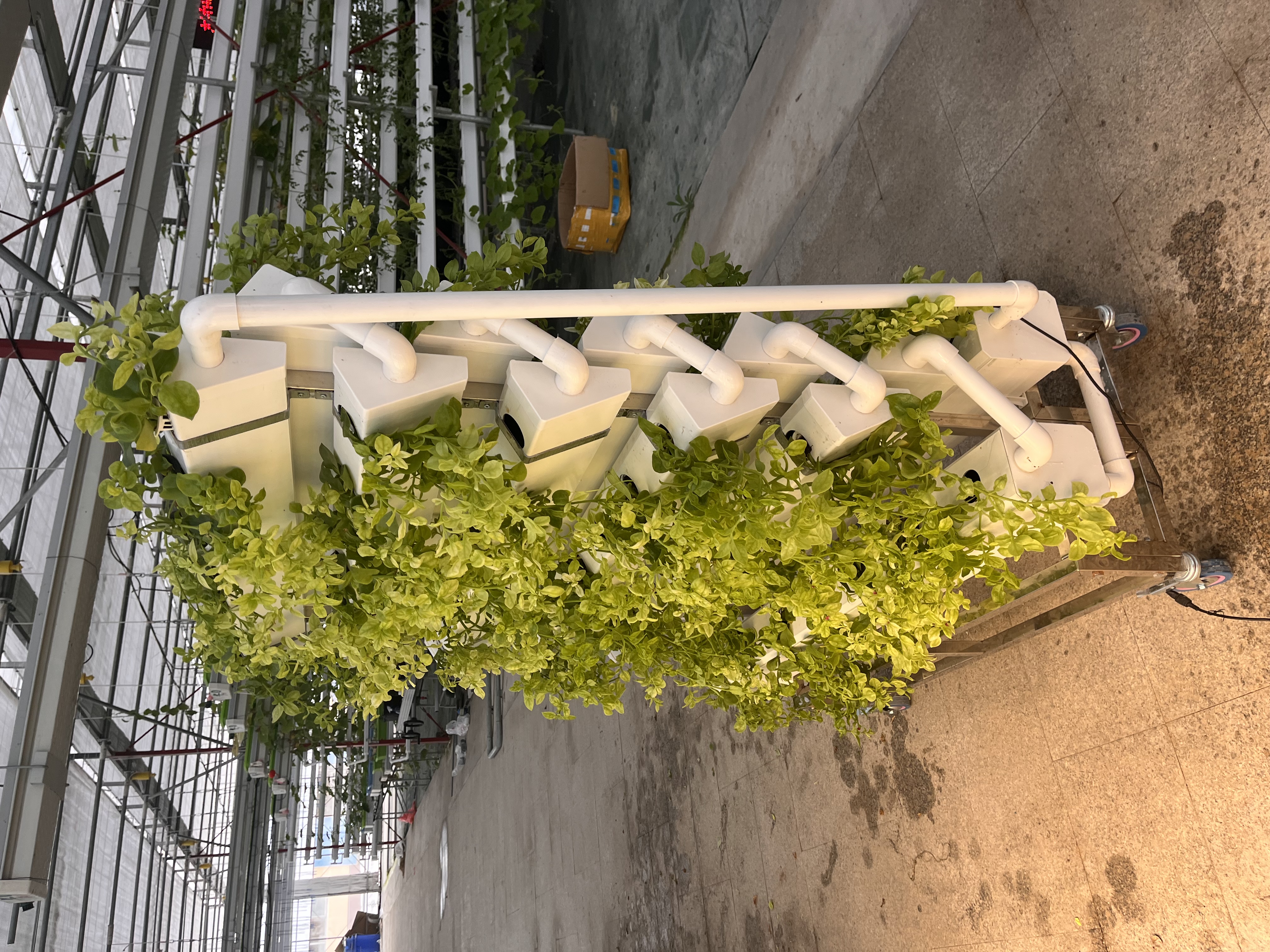 Smart Version of Double-sided Hydroponics