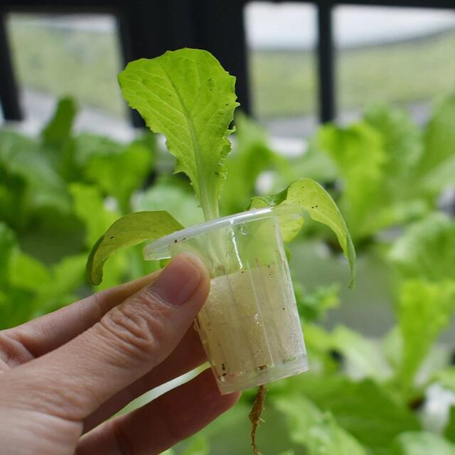 Good-looking Home Rotating Urban Vertical hydroponics Tower