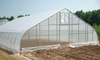 UV-resistant Curved Agricultural tunnel greenhouse