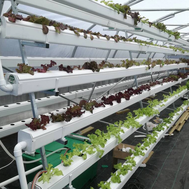 Large-scale Easy-to-clean Reflective Hydroponic Pipes