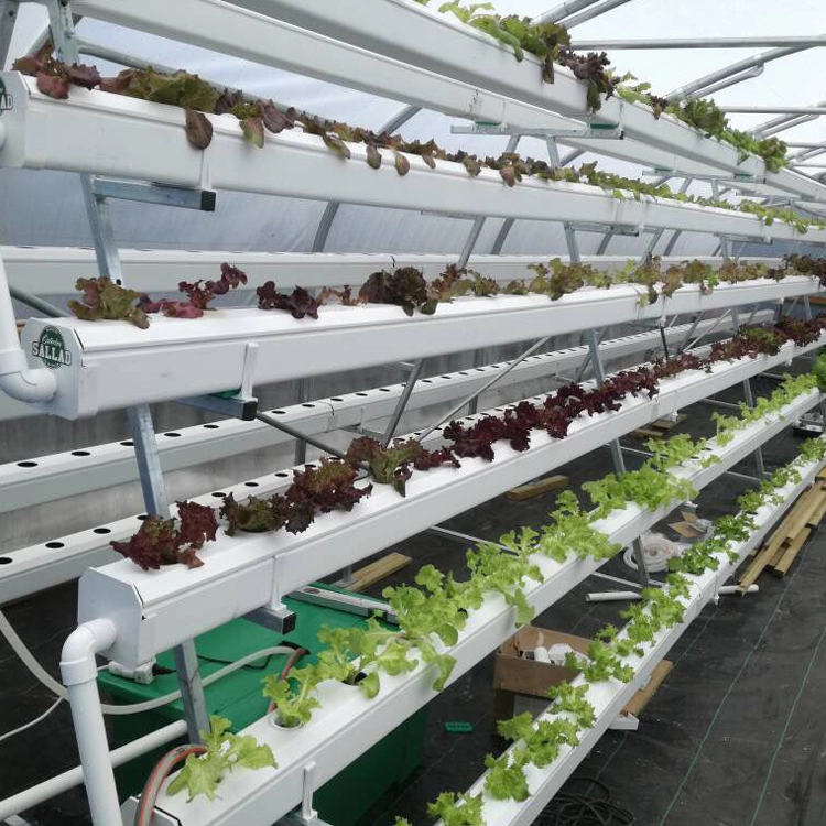 Large-scale Easy-to-clean Reflective Hydroponic Pipes
