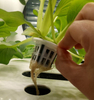 Indoor Soil-less Tower Vertical hydroponics