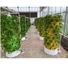 Indoor Compact Vertical Hydroponics Tower