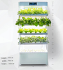 vertical cultivation growing herbs indoors hydroponic system agriculture tower planter for lettuce