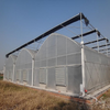 Strong UV-resistant Curved Multi-Span Greenhouse