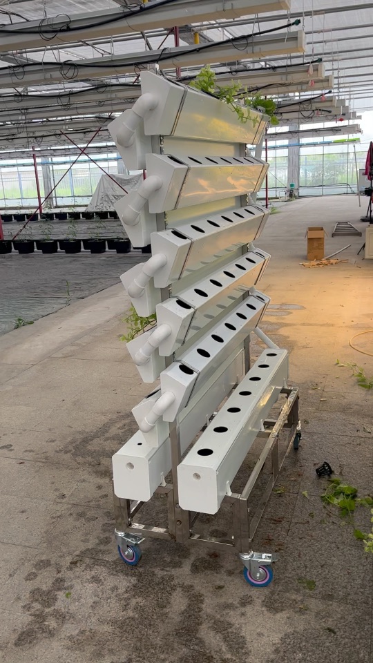 Smart Version of Double-sided Hydroponics