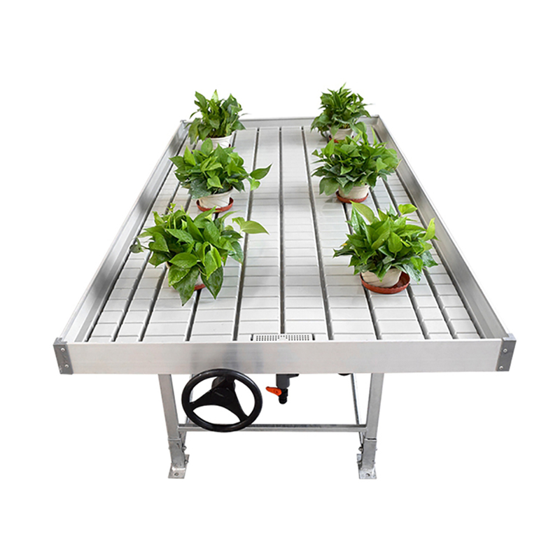 Customized Flood Tray Tables Ebb And Flow Rolling Bench Outdoor Hydroponics Greenhouse Vertical Growing Rack System