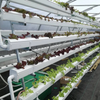 Aquaponic Flexible Clear Hydroponic Pipes