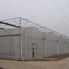 Strong UV-resistant Curved Multi-Span Greenhouse