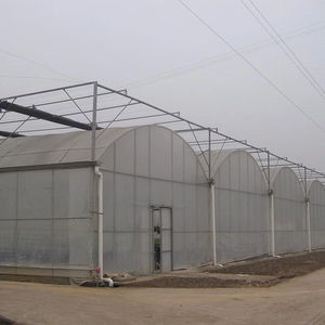 Horticultural UV-resistant Transprant Multi-Span Greenhouse