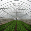 Agriculture Single Span greenhouse low cost hoop greenhouse UV-resistant tunnel greenhouse