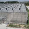 Commercial Climate-proof Traditional PC Board Greenhouse